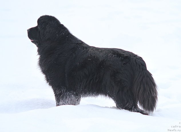 Фотография № 201063