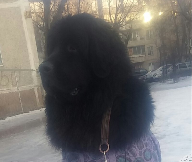 Фотография № 201067