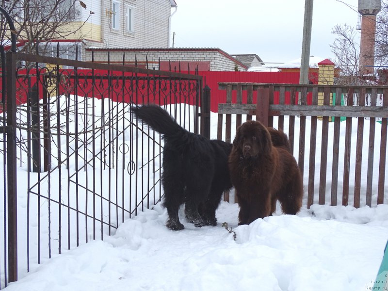 Фотография № 201082