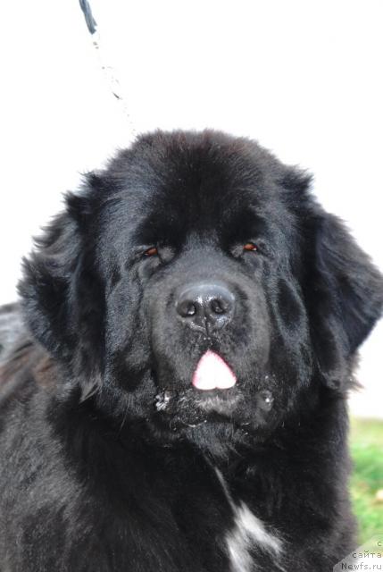 Фотография № 20111