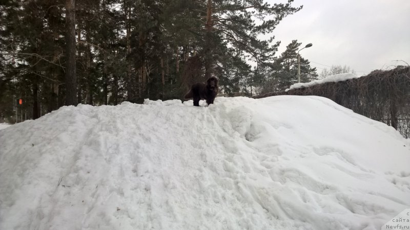 Фотография № 201118