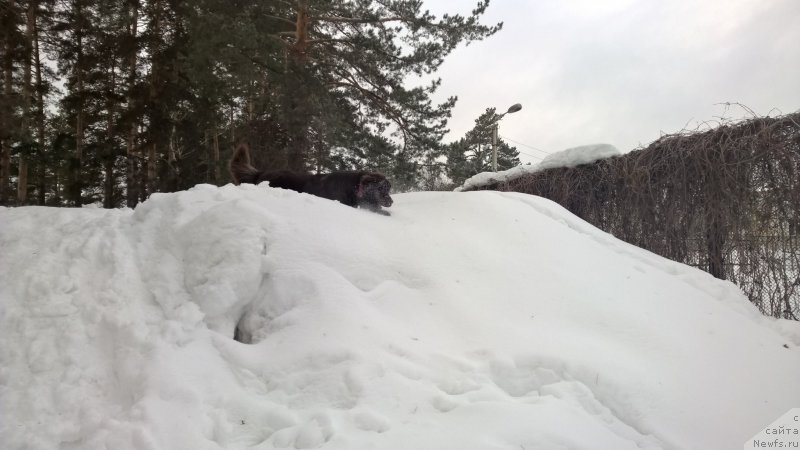 Фотография № 201119