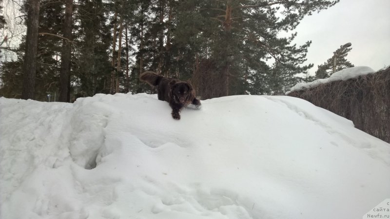 Фотография № 201120