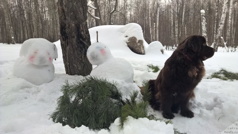 Фотография № 201121