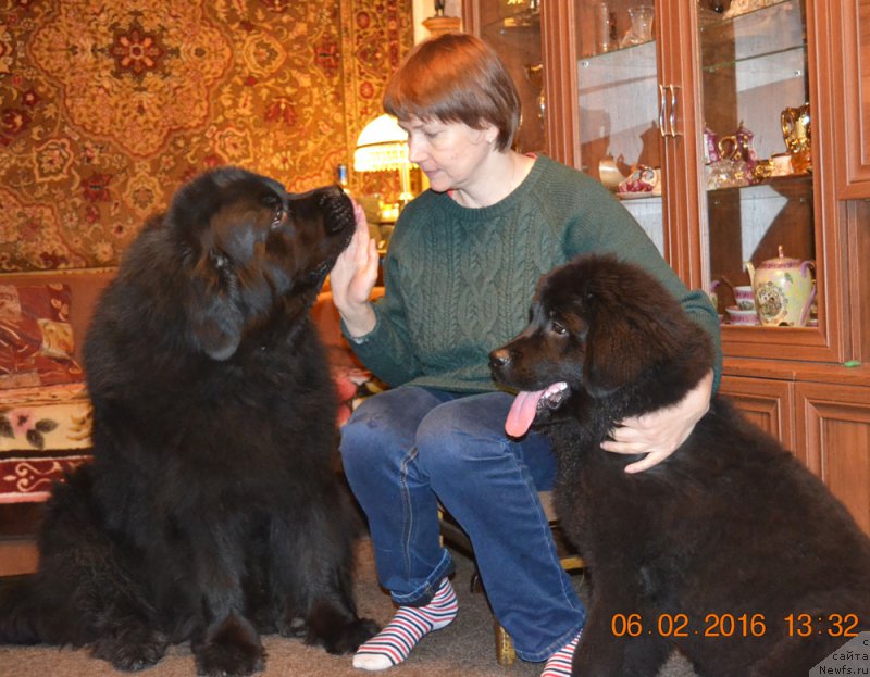 Фотография № 201123