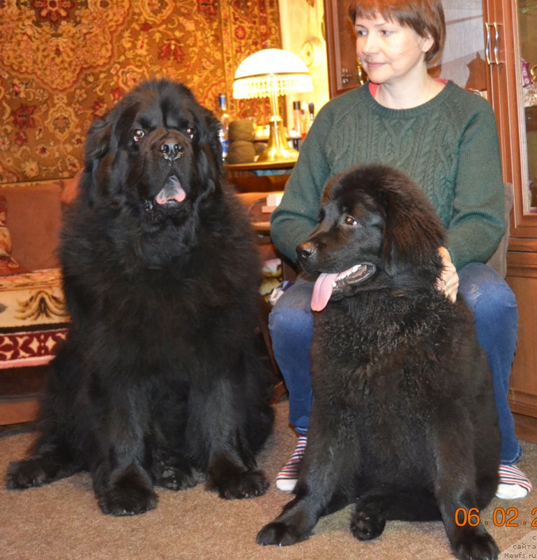 Фотография № 201124