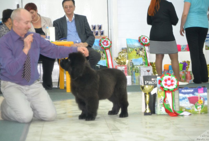 Фотография № 201127