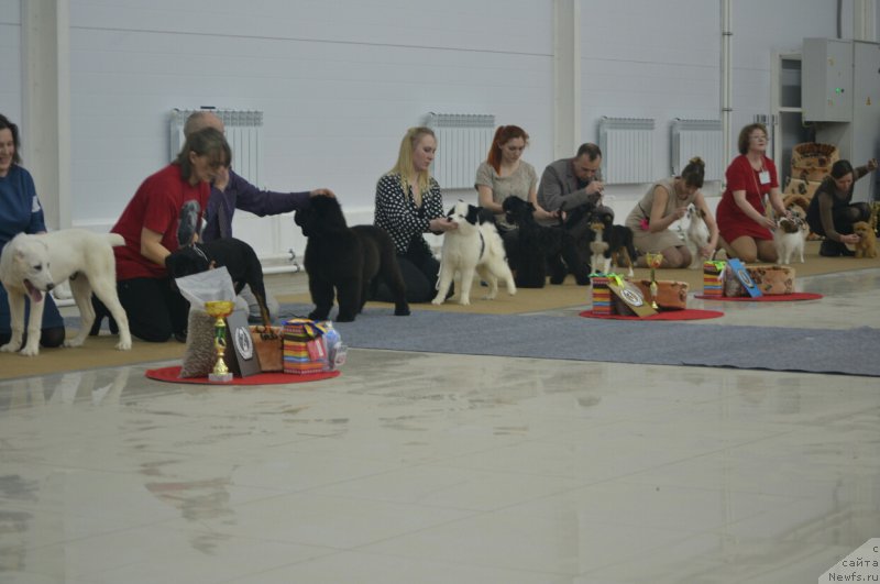 Фотография № 201128