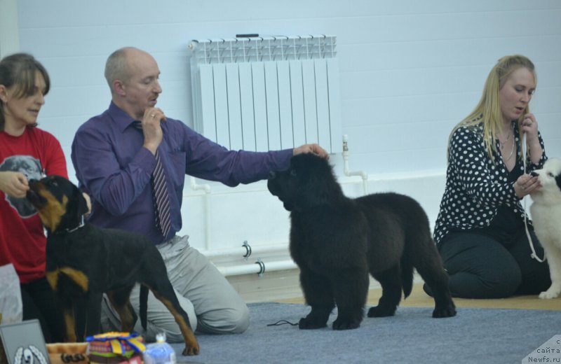 Фотография № 201132