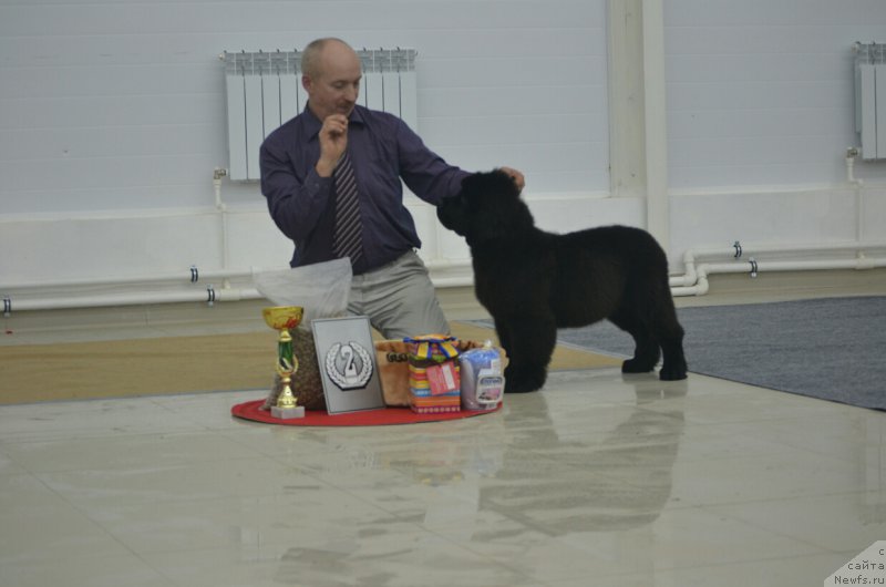 Фотография № 201133