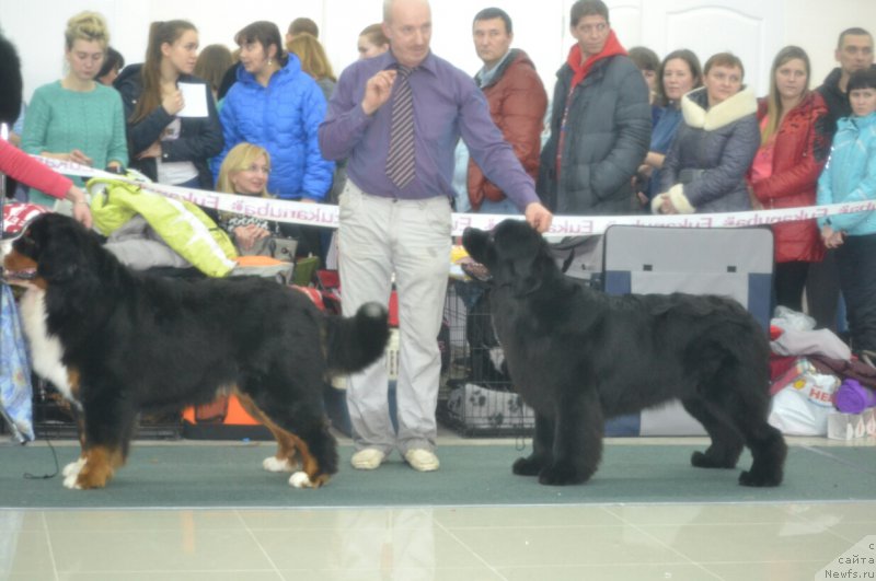 Фотография № 201146