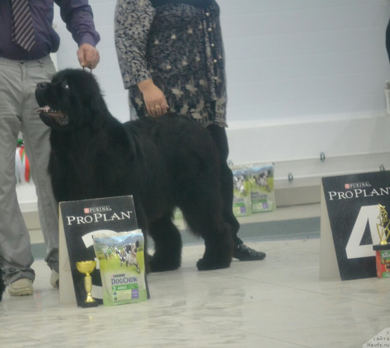 Фотография № 201148