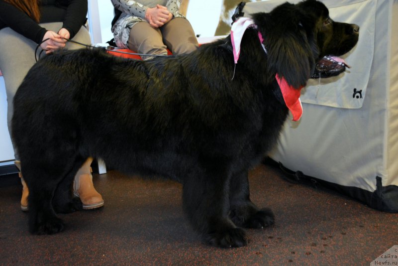 Фотография № 201175