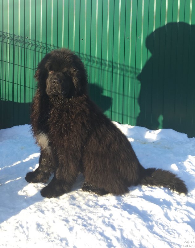 Фотография № 201186