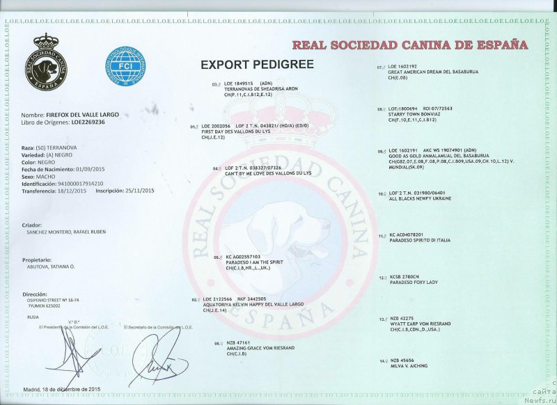 Фото: Firefox dell Valle Largo