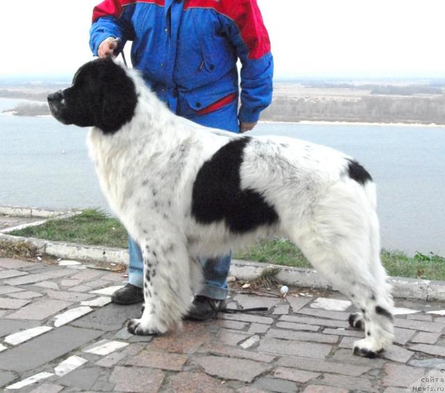 Фотография № 20119