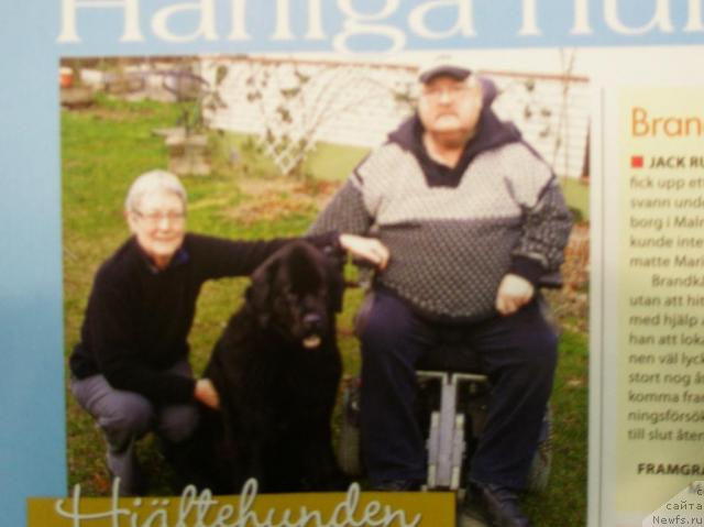 Фотография № 20120