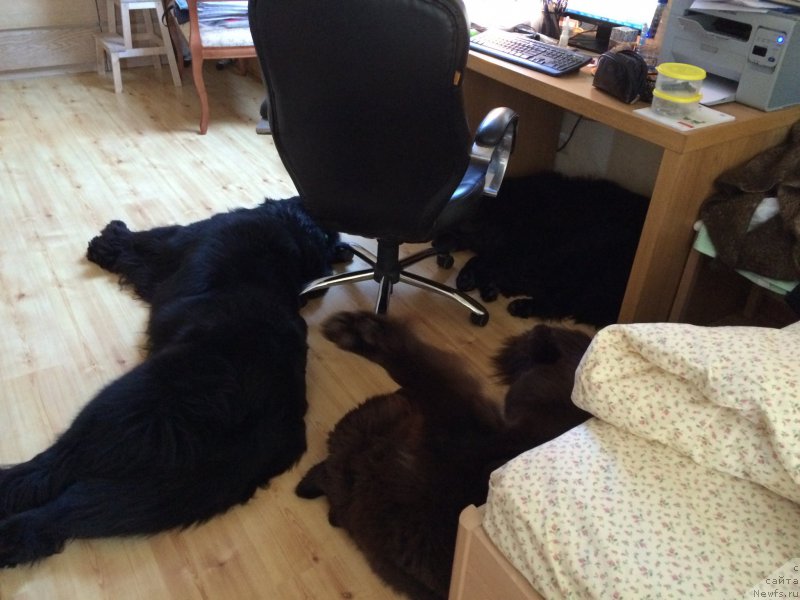 Фотография № 201204