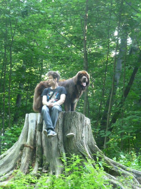 Фотография № 201207