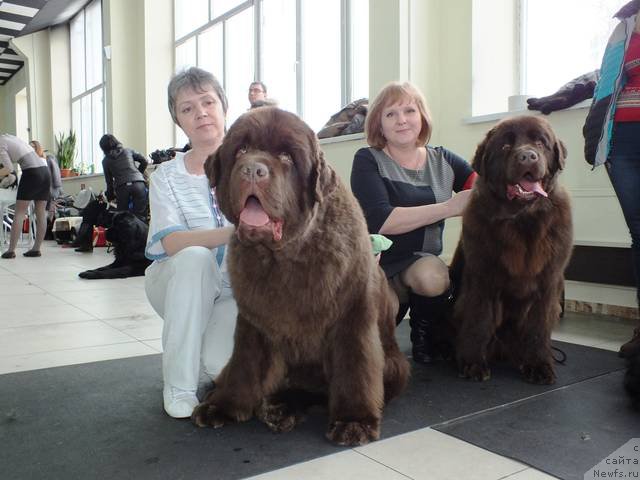 Фотография № 201223