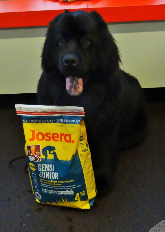 Фотография № 201234