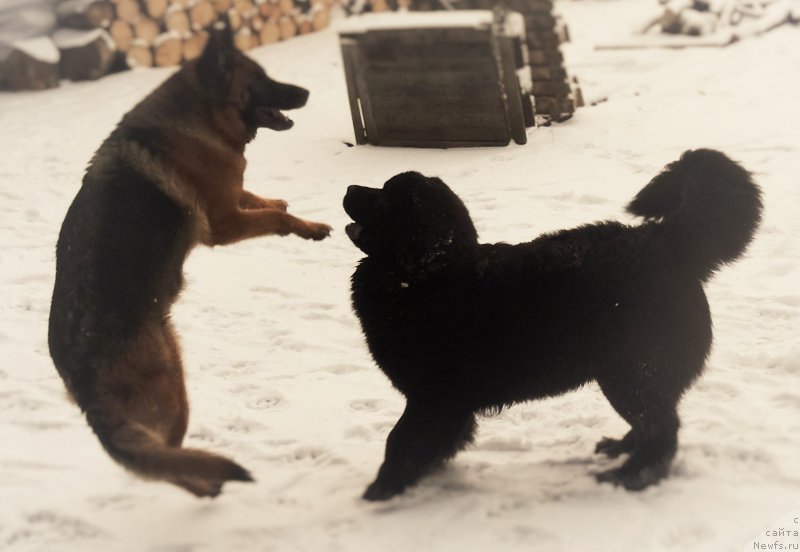 Фотография № 201236