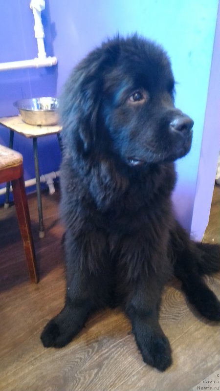 Фотография № 201256