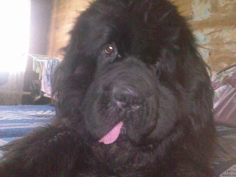 Фотография № 201271