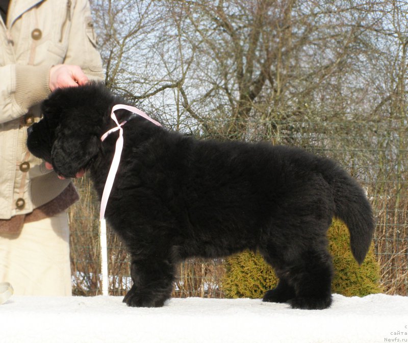 Фотография № 201340