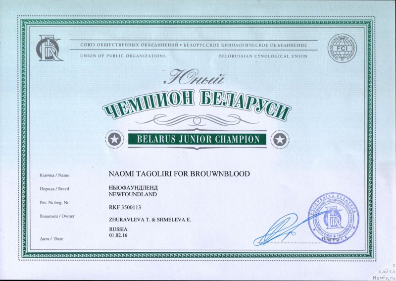 Фото: ньюфаундленд Наоми Таголири фор Браунблад (Naomi Tagoliri for Brouwnblood)