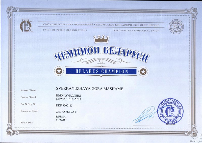 Фото: ньюфаундленд Сверкающая Гора Машаме (Sverkayuzhaya Gora Mashame)