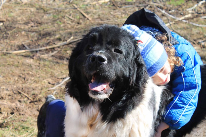 Фотография № 201352