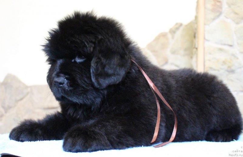 Фото: Виктор Хрищанович