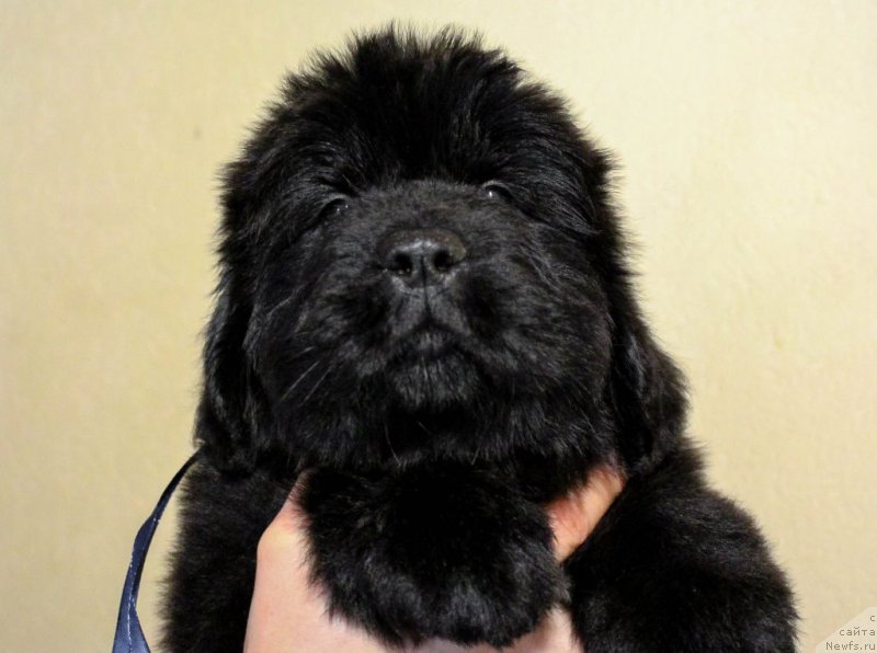 Фото: Виктор Хрищанович