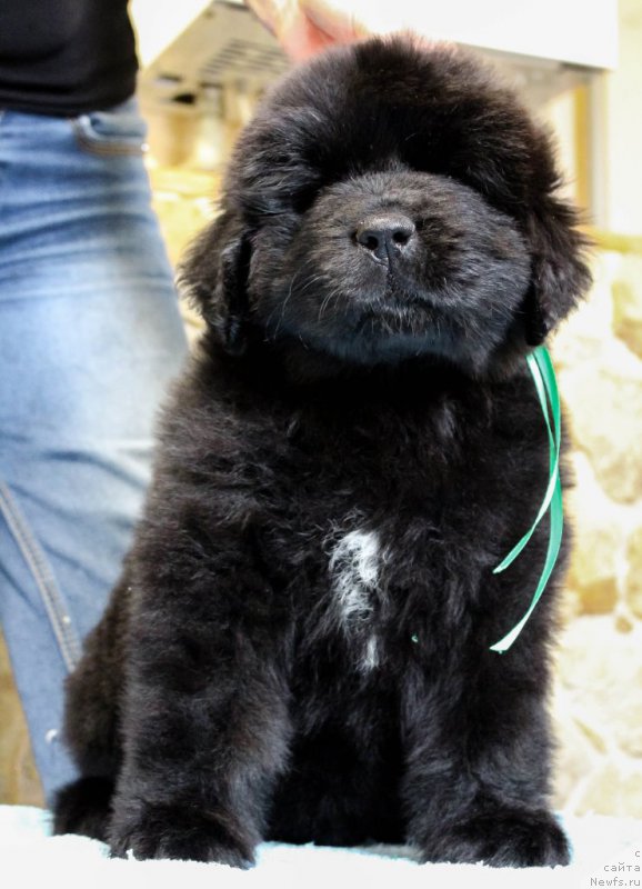 Фото: Виктор Хрищанович