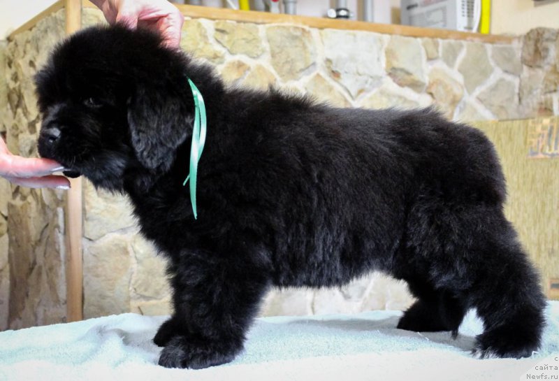 Фото: Виктор Хрищанович