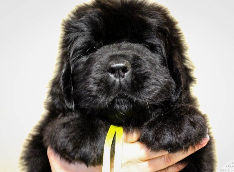 Фото: Виктор Хрищанович