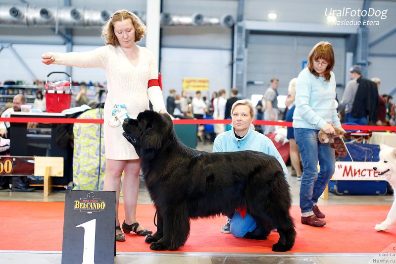 Фотография № 201382