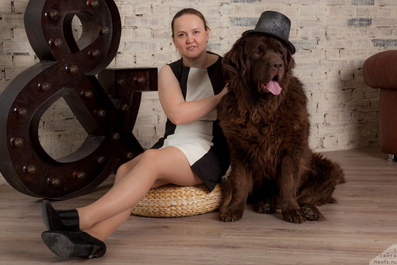 Фото: ньюфаундленд Конфуций, Диана Ларина