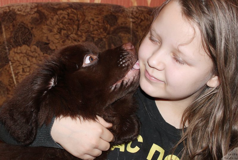 Фотография № 201401