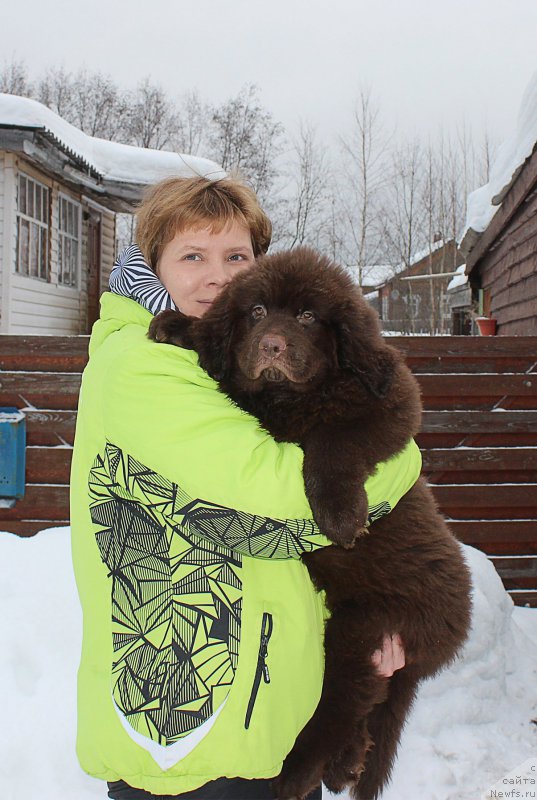 Фотография № 201402