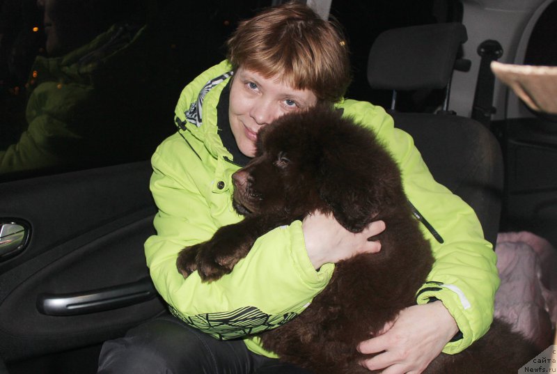 Фотография № 201403