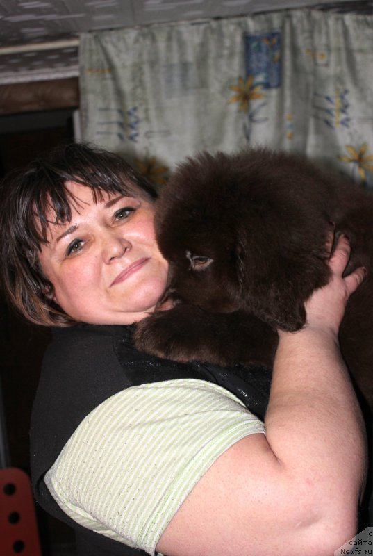 Фотография № 201404