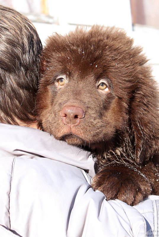 Фотография № 201423