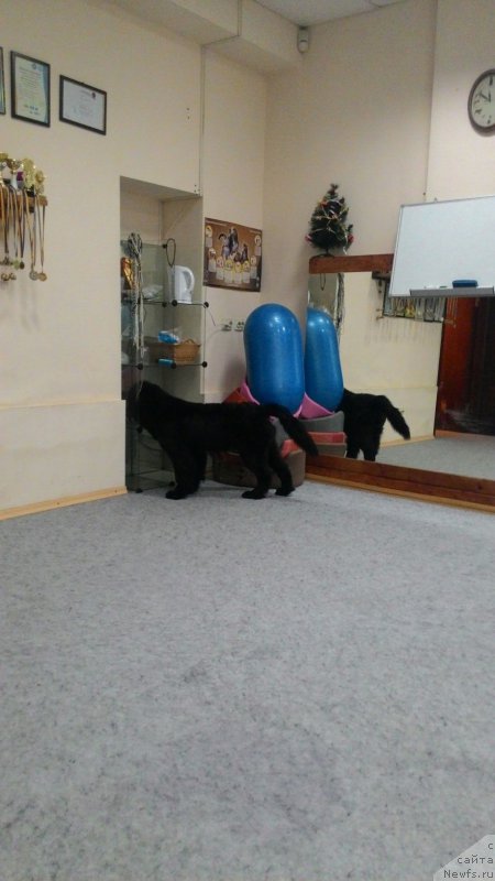 Фотография № 201439