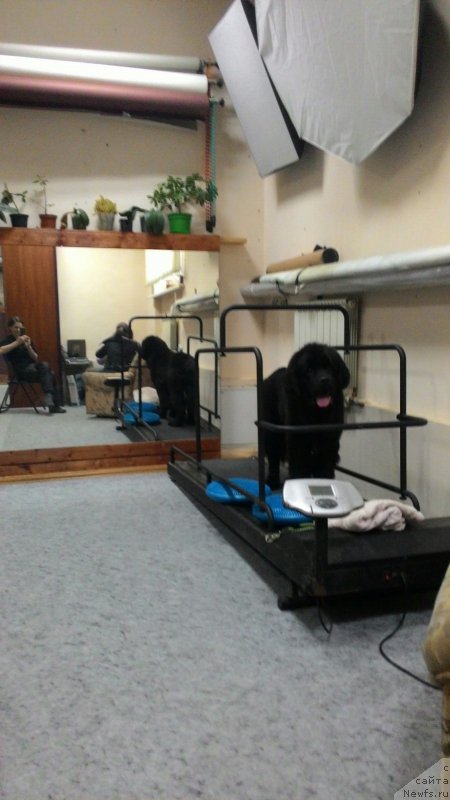 Фотография № 201440