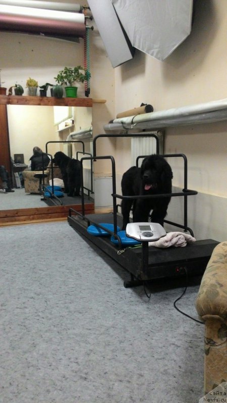 Фотография № 201441