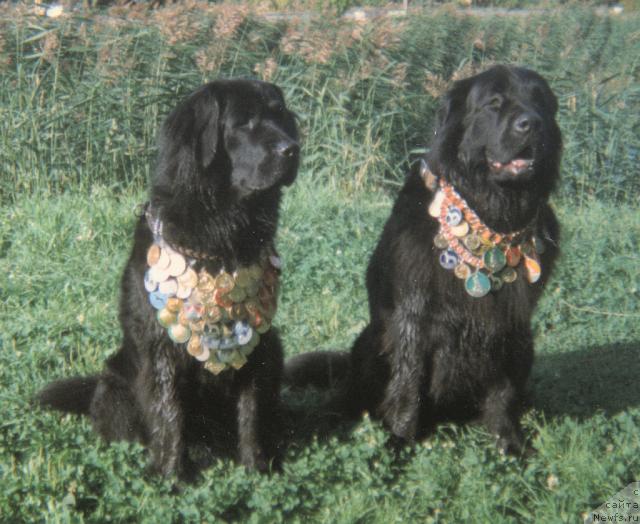 Фотография № 20146