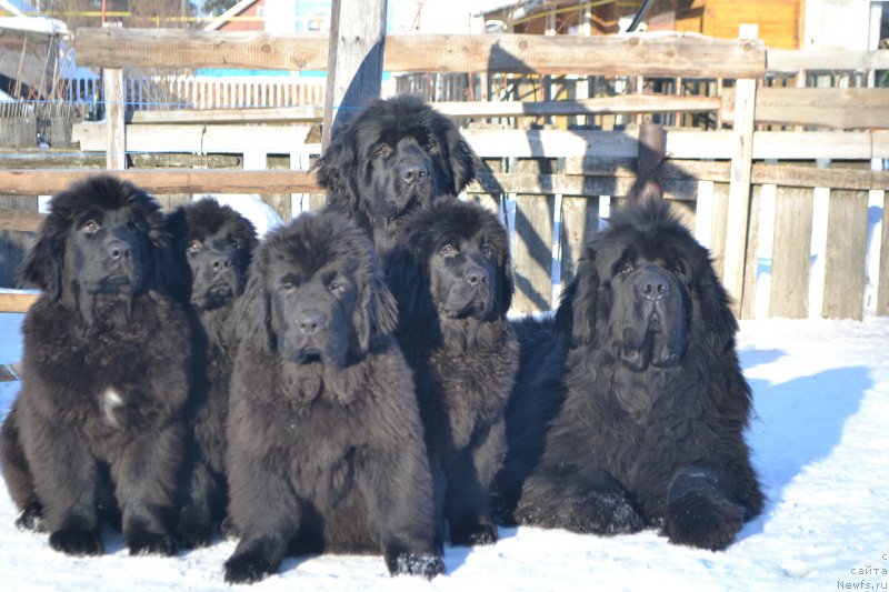 Фотография № 201463