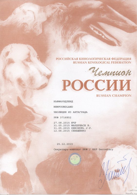 Фото: ньюфаундленд Эволюция из Антаграда